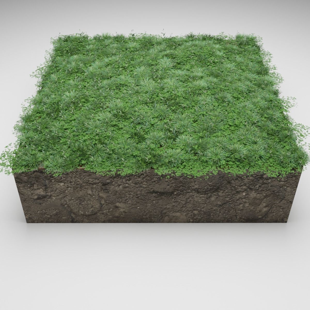 Lawn grass free Low-poly 3D model_4