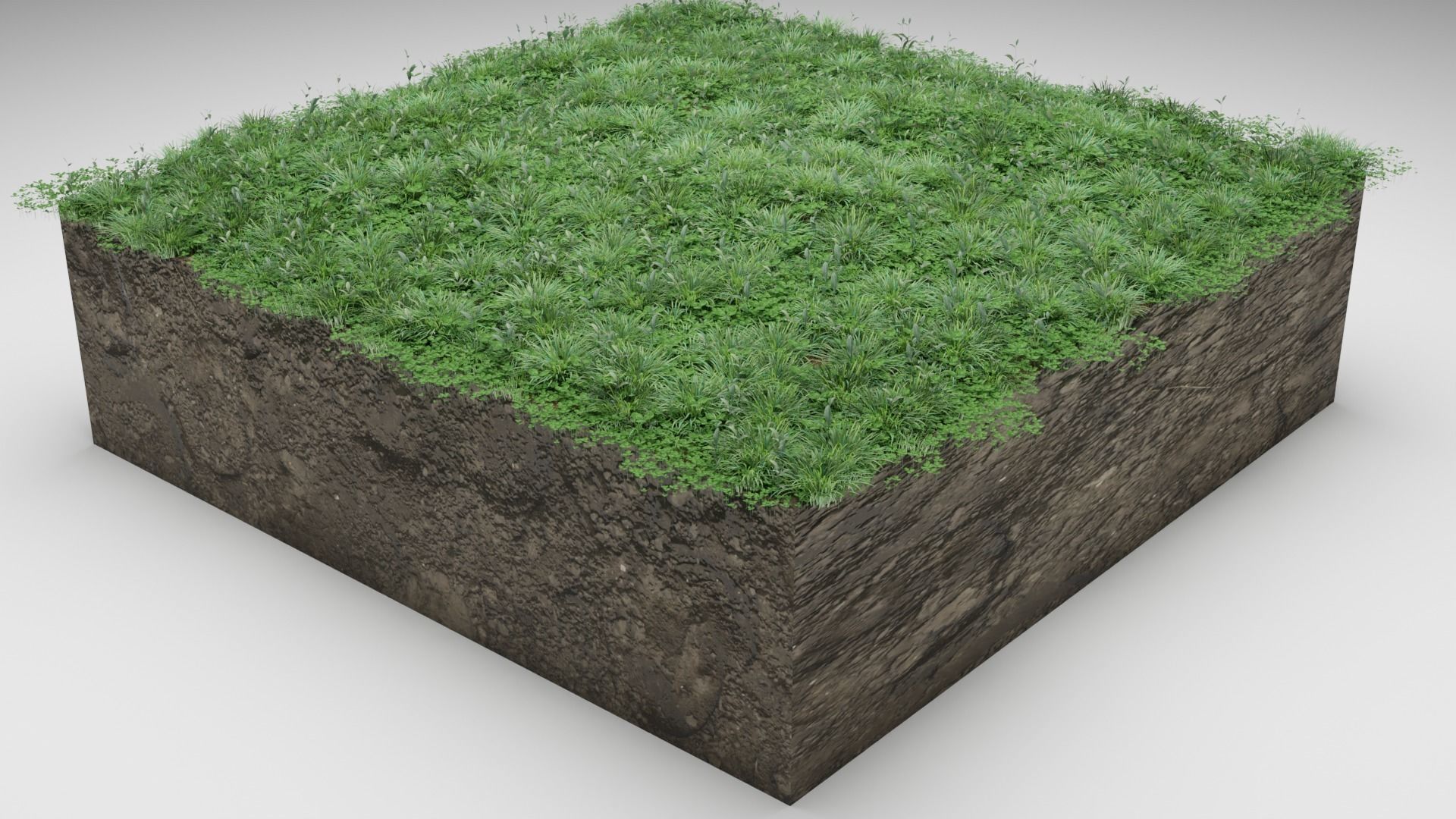 Lawn grass free Low-poly 3D model_2