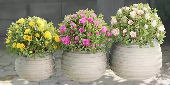 collection flowering bush vol 16-Blender