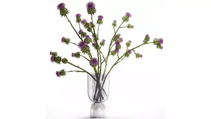 Beautiful green bouquet of Thistle thorn in a glass vase 295