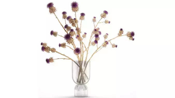 Beautiful dried flower bouquet Thistle thorn in a glass vase 296