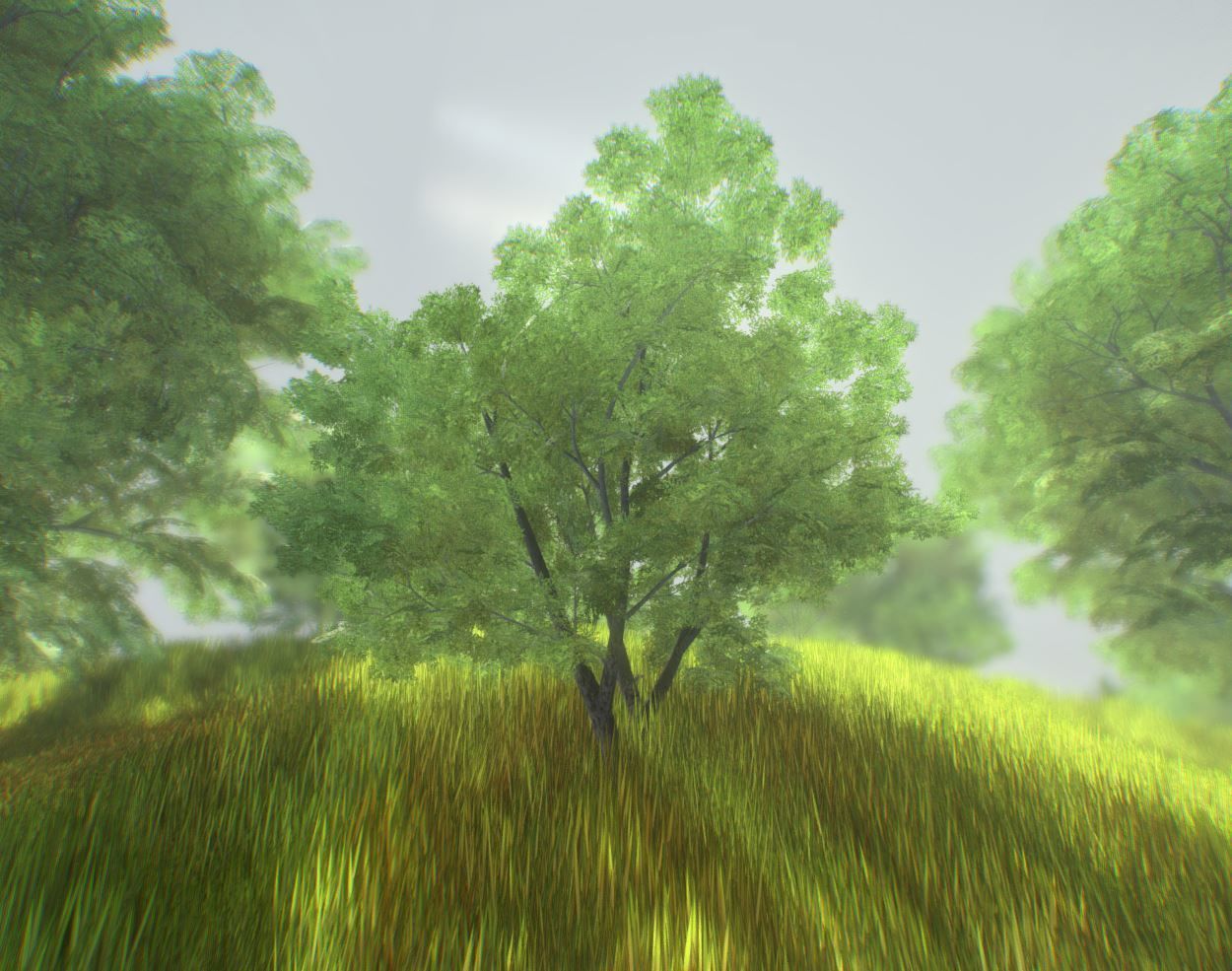 Black Alder Tree - Empress Tree - Walnut Tree Package 3D Model Collection_64