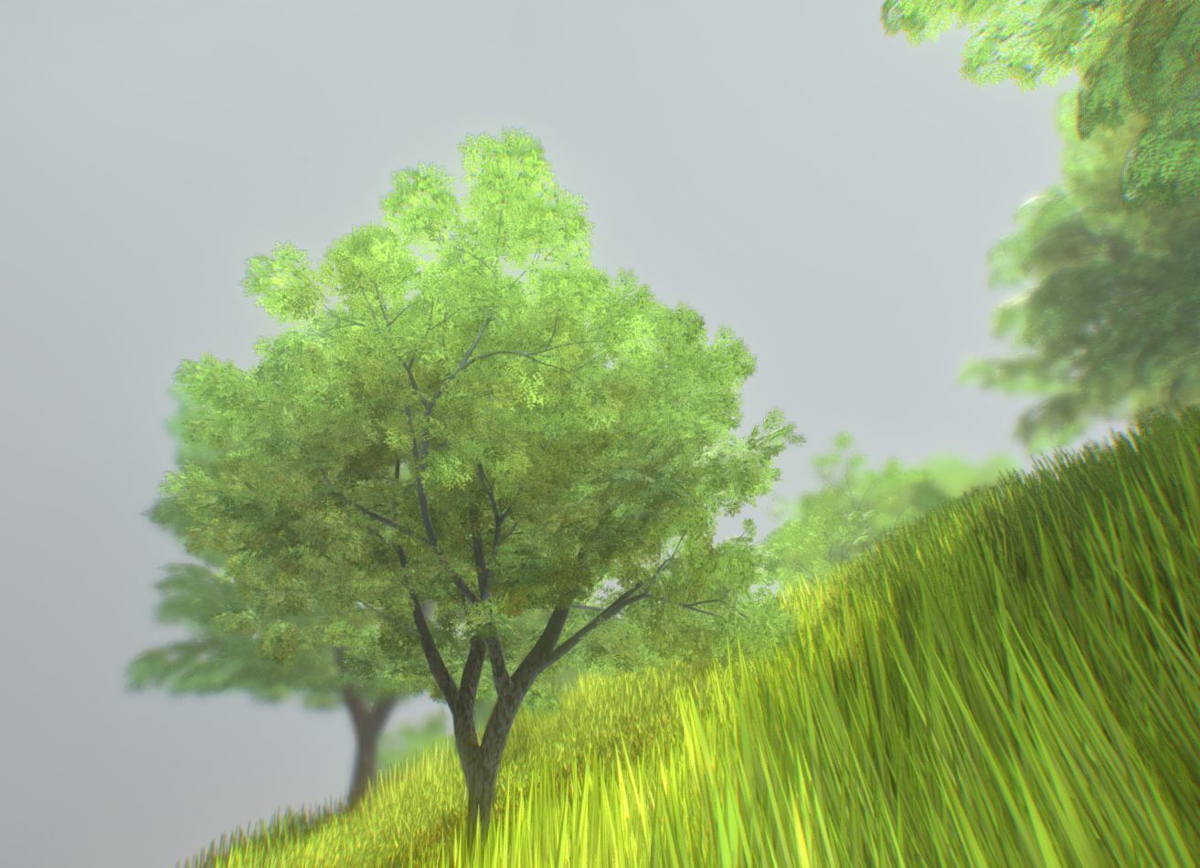 Black Alder Tree - Empress Tree - Walnut Tree Package 3D Model Collection_71