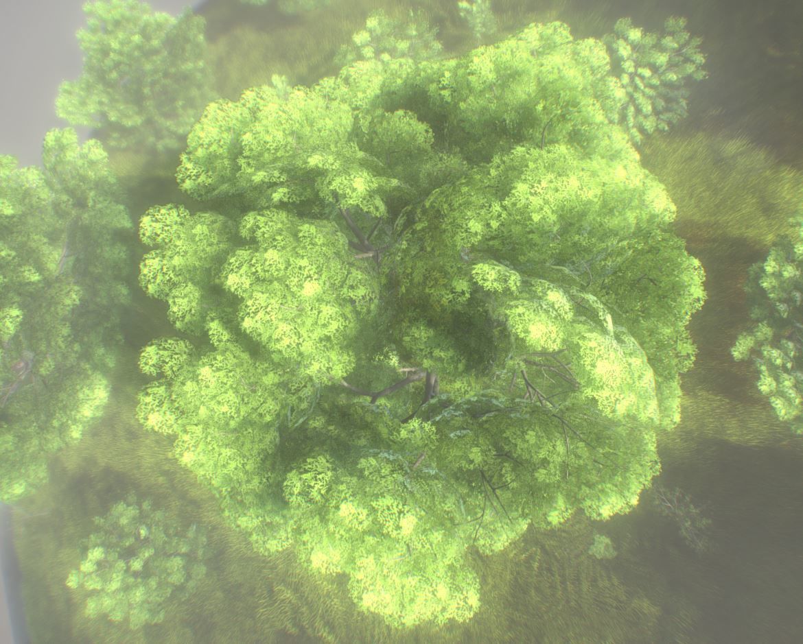 Black Alder Tree - Empress Tree - Walnut Tree Package 3D Model Collection_63