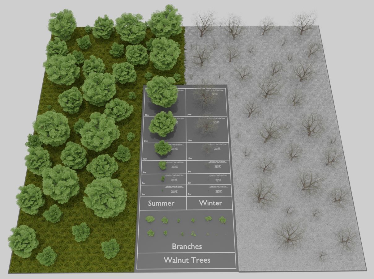 Black Alder Tree - Empress Tree - Walnut Tree Package 3D Model Collection_58