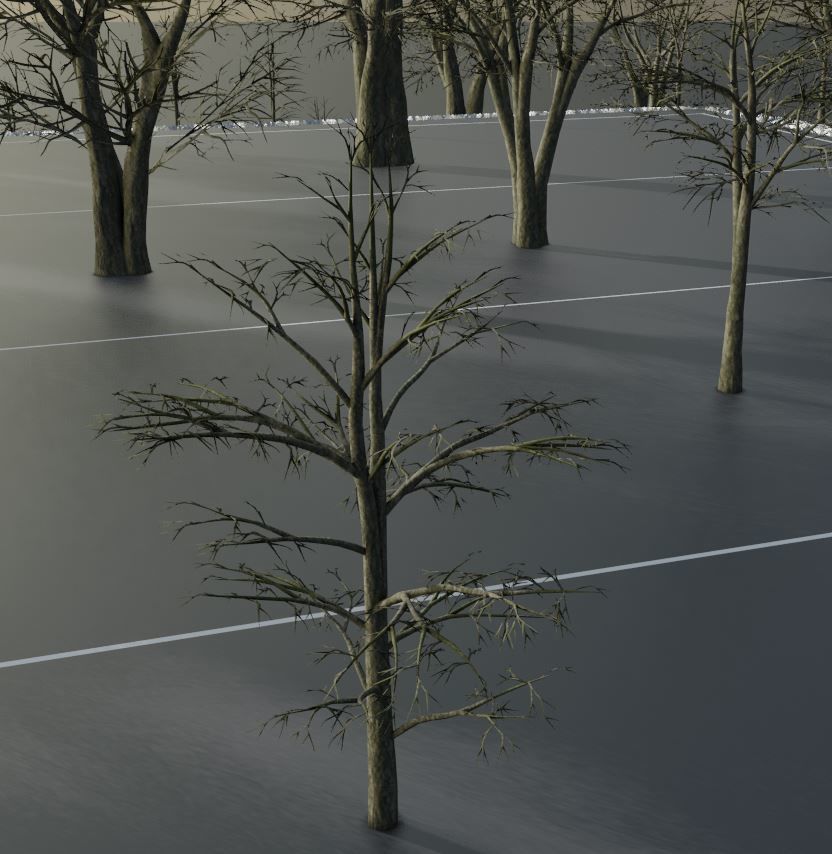 Black Alder Tree - Empress Tree - Walnut Tree Package 3D Model Collection_84