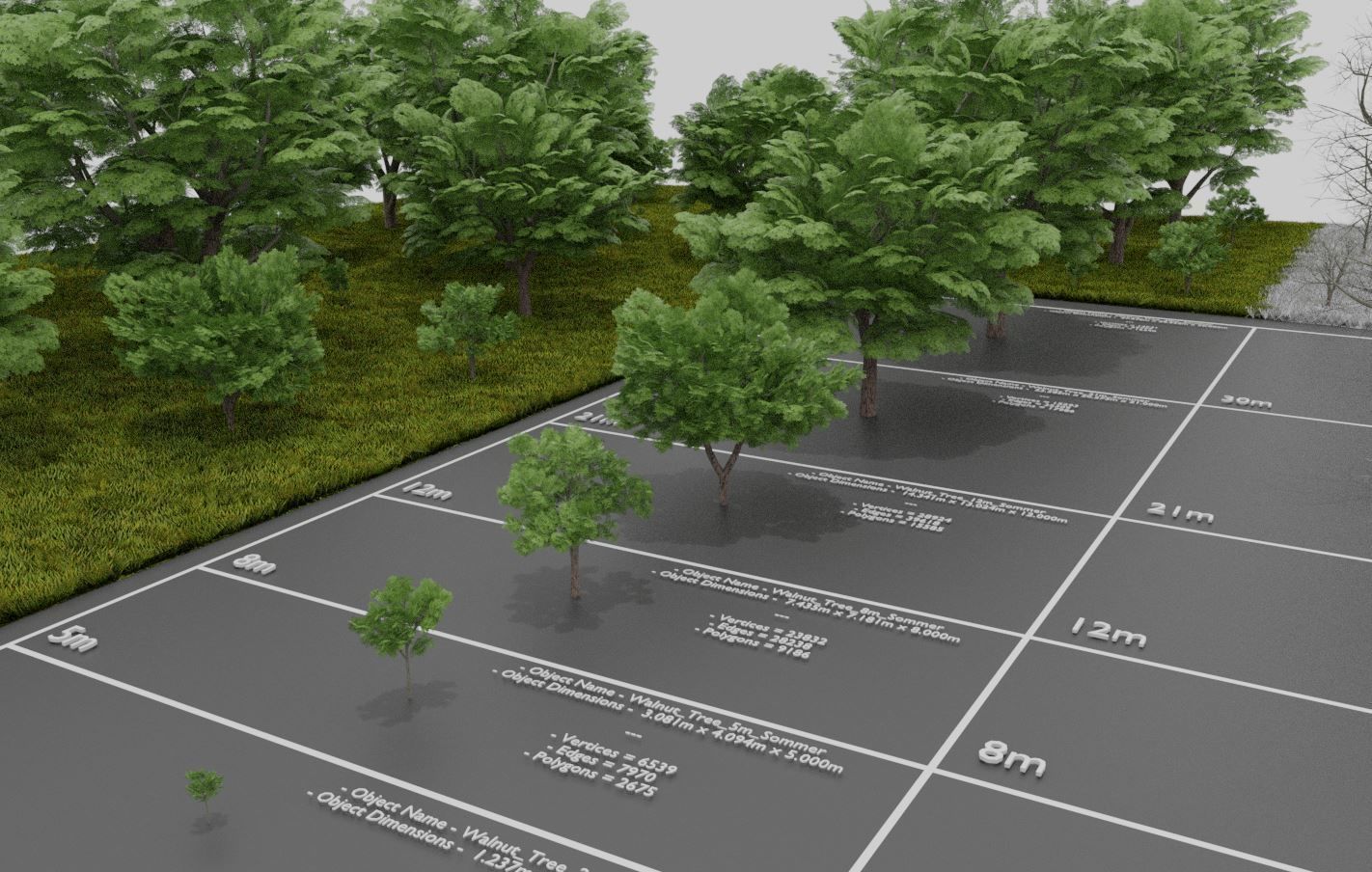 Black Alder Tree - Empress Tree - Walnut Tree Package 3D Model Collection_72