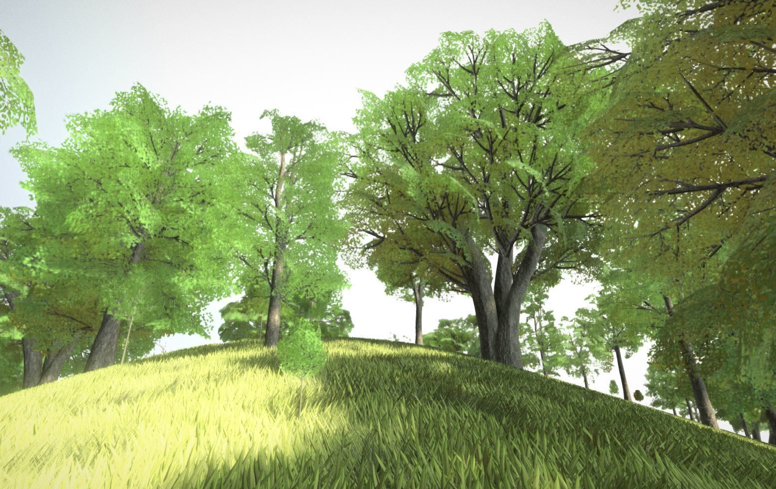 Black Alder Tree - Empress Tree - Walnut Tree Package 3D Model Collection_100