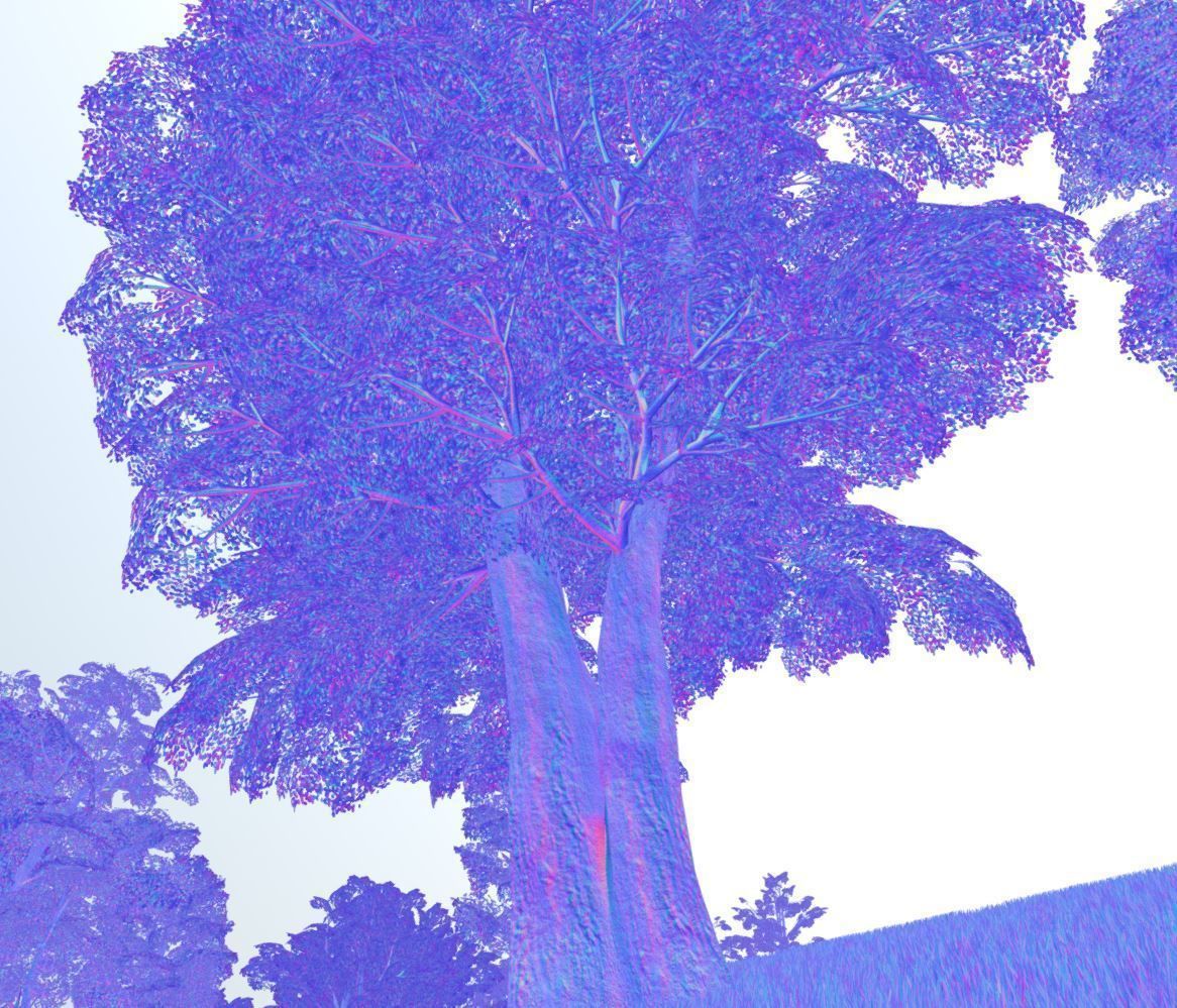 Black Alder Tree - Empress Tree - Walnut Tree Package 3D Model Collection_95