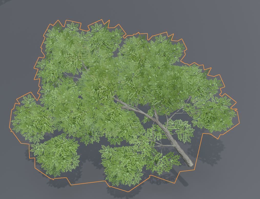 Black Alder Tree - Empress Tree - Walnut Tree Package 3D Model Collection_56