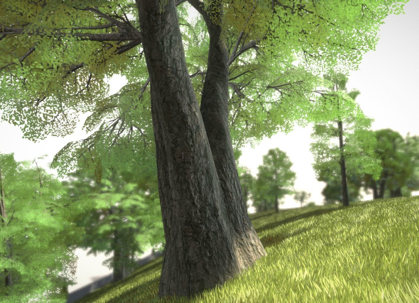 Black Alder Tree - Empress Tree - Walnut Tree Package 3D Model Collection_103