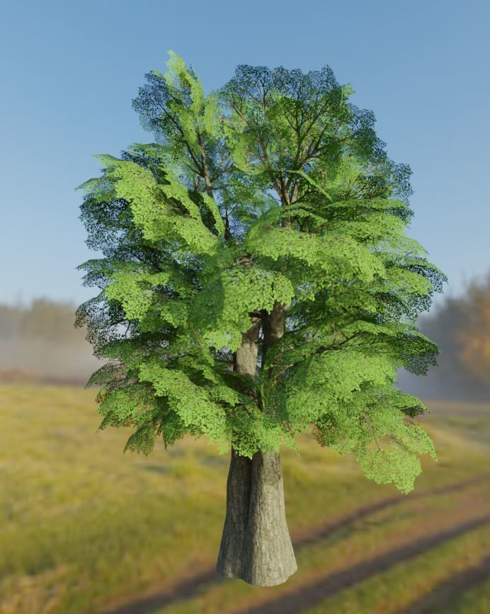 Black Alder Tree - Empress Tree - Walnut Tree Package 3D Model Collection_89