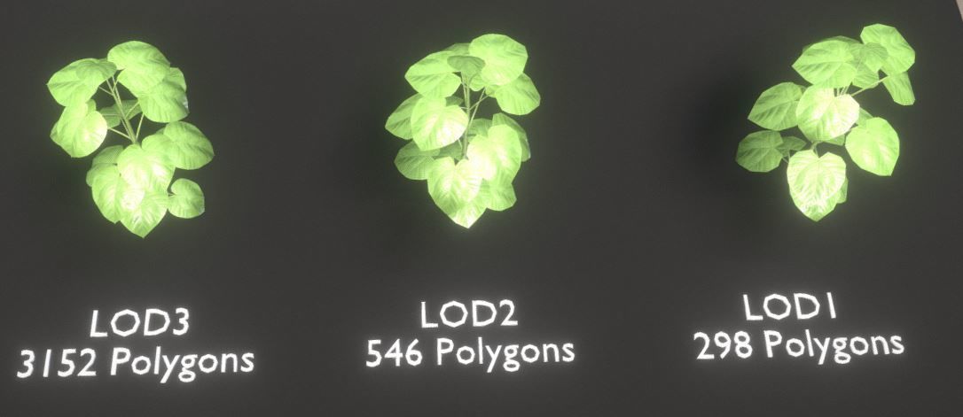 Black Alder Tree - Empress Tree - Walnut Tree Package 3D Model Collection_11