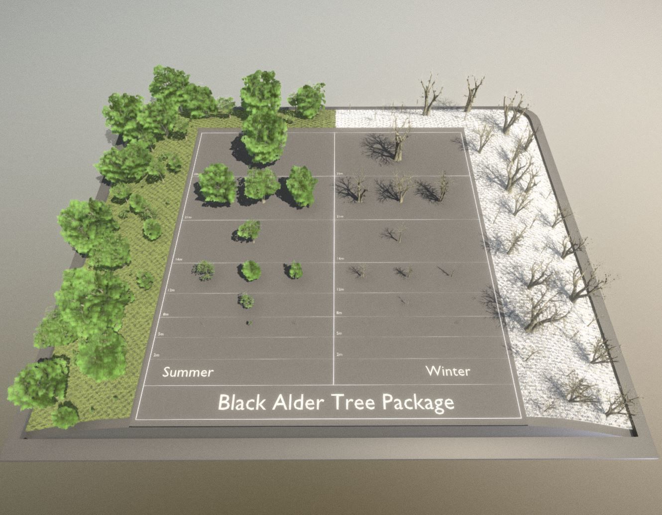 Black Alder Tree - Empress Tree - Walnut Tree Package 3D Model Collection_80
