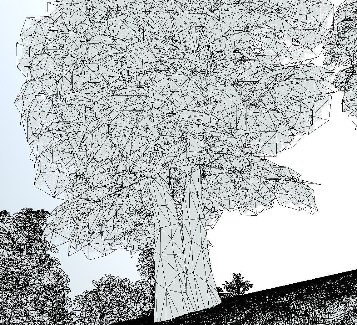 Black Alder Tree - Empress Tree - Walnut Tree Package 3D Model Collection_102