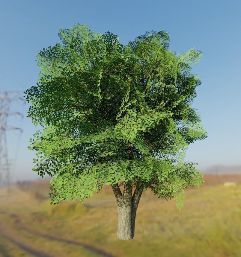 Black Alder Tree - Empress Tree - Walnut Tree Package 3D Model Collection_94