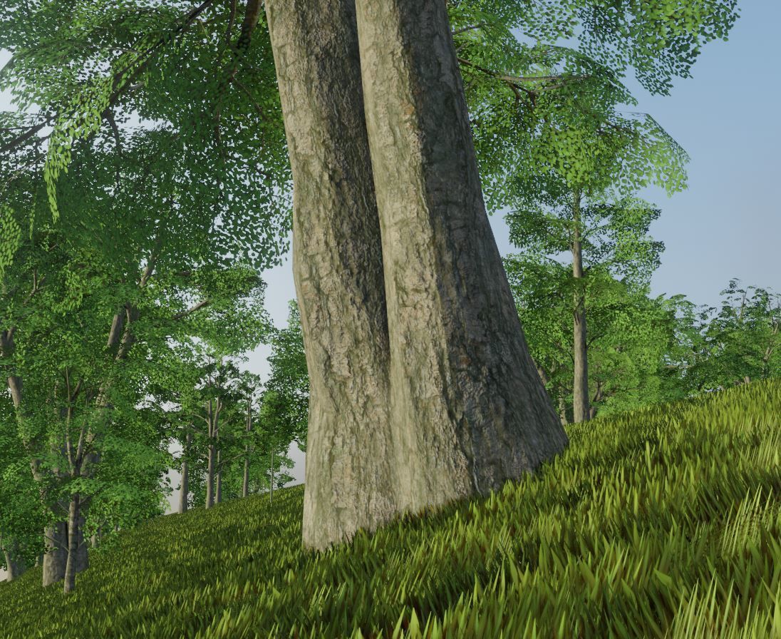 Black Alder Tree - Empress Tree - Walnut Tree Package 3D Model Collection_101