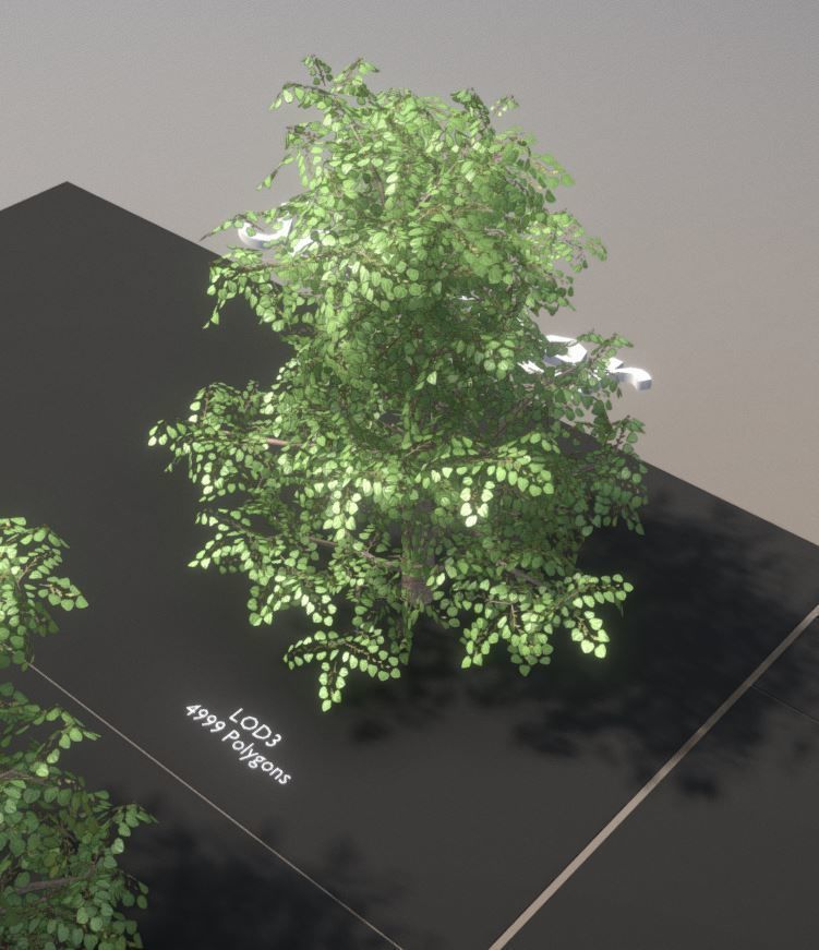 Black Alder Tree - Empress Tree - Walnut Tree Package 3D Model Collection_24