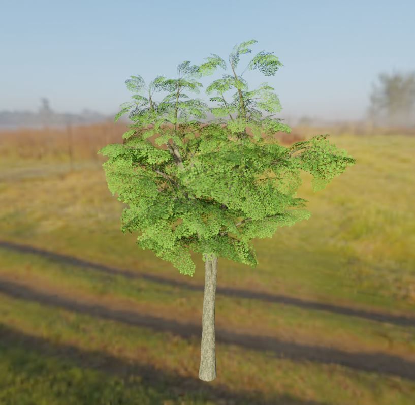 Black Alder Tree - Empress Tree - Walnut Tree Package 3D Model Collection_87
