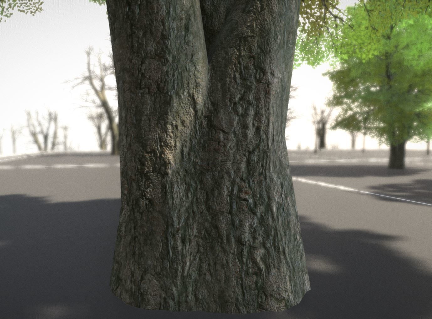 Black Alder Tree - Empress Tree - Walnut Tree Package 3D Model Collection_91