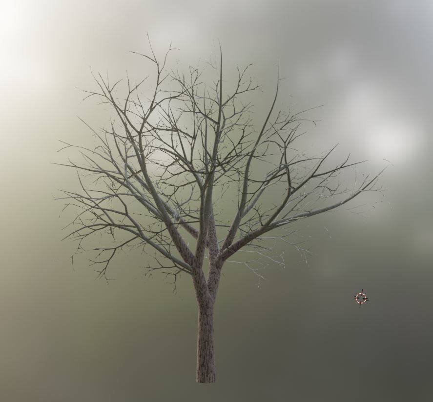 Black Alder Tree - Empress Tree - Walnut Tree Package 3D Model Collection_45