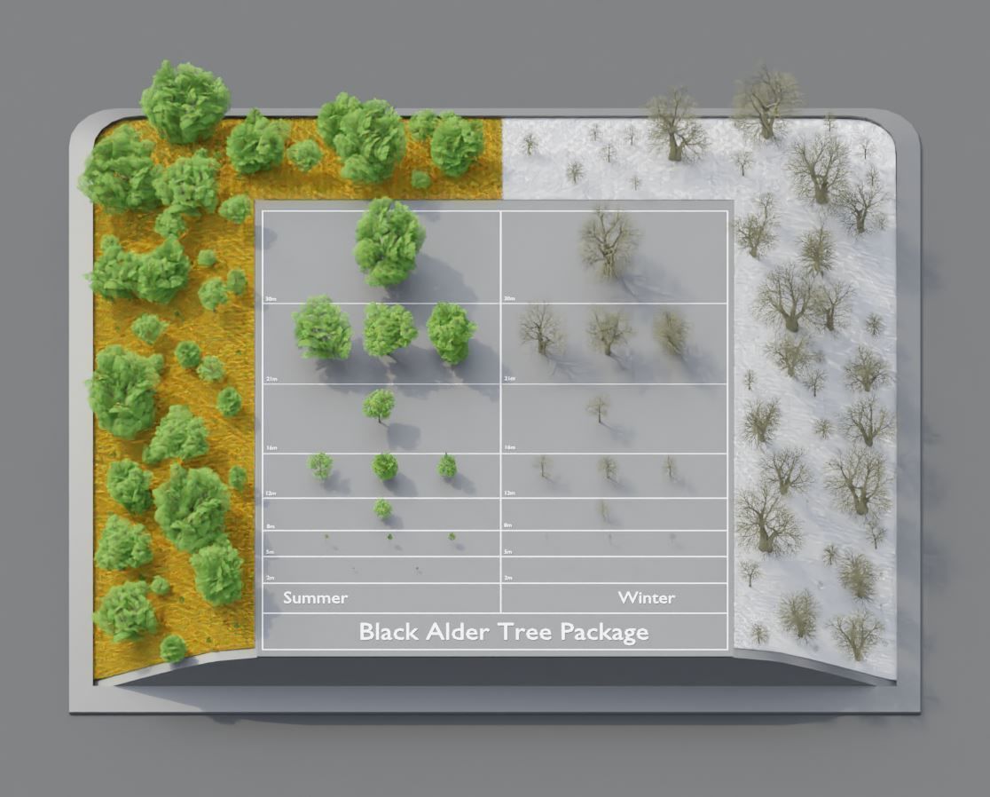 Black Alder Tree - Empress Tree - Walnut Tree Package 3D Model Collection_90
