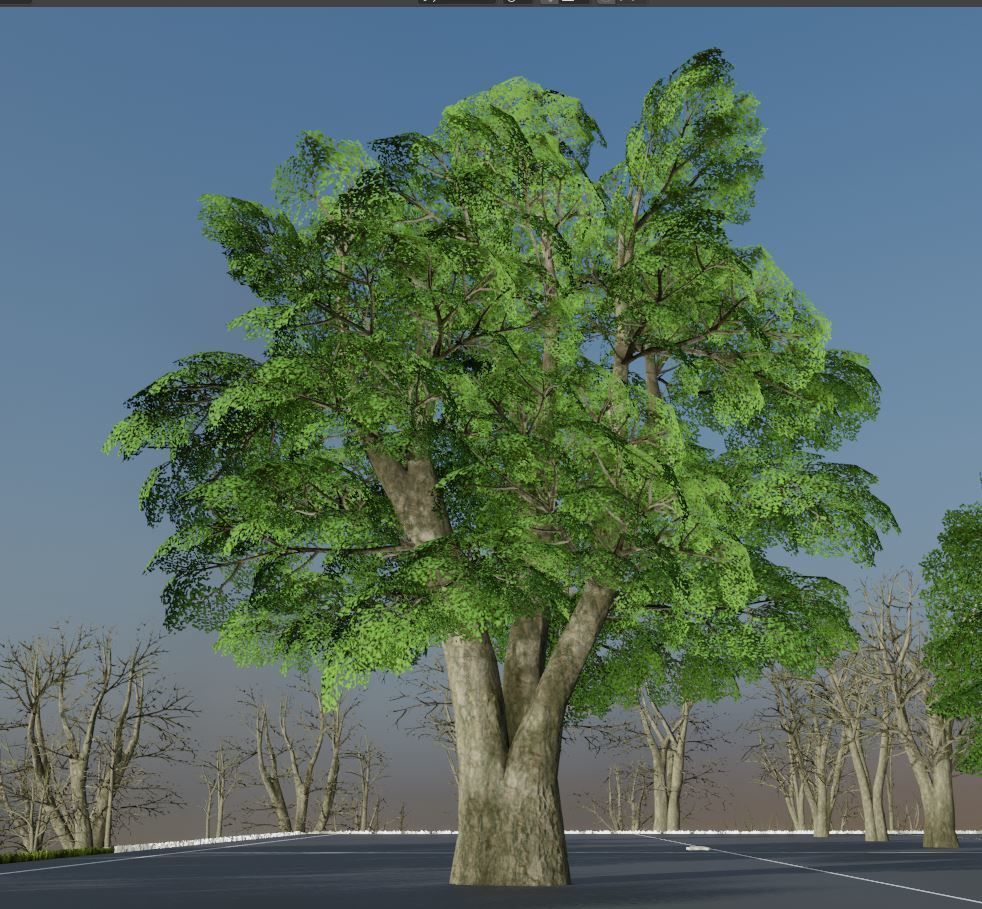 Black Alder Tree - Empress Tree - Walnut Tree Package 3D Model Collection_105
