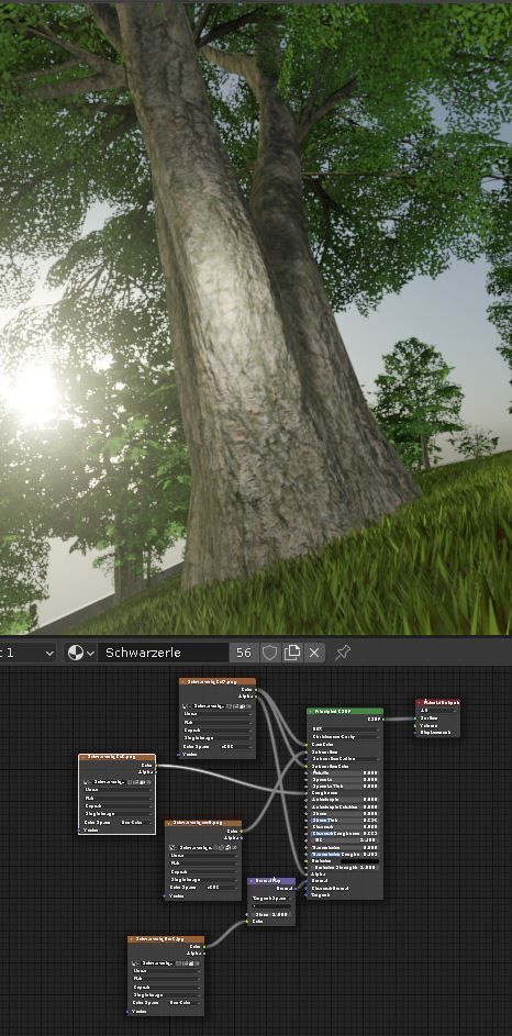 Black Alder Tree - Empress Tree - Walnut Tree Package 3D Model Collection_98