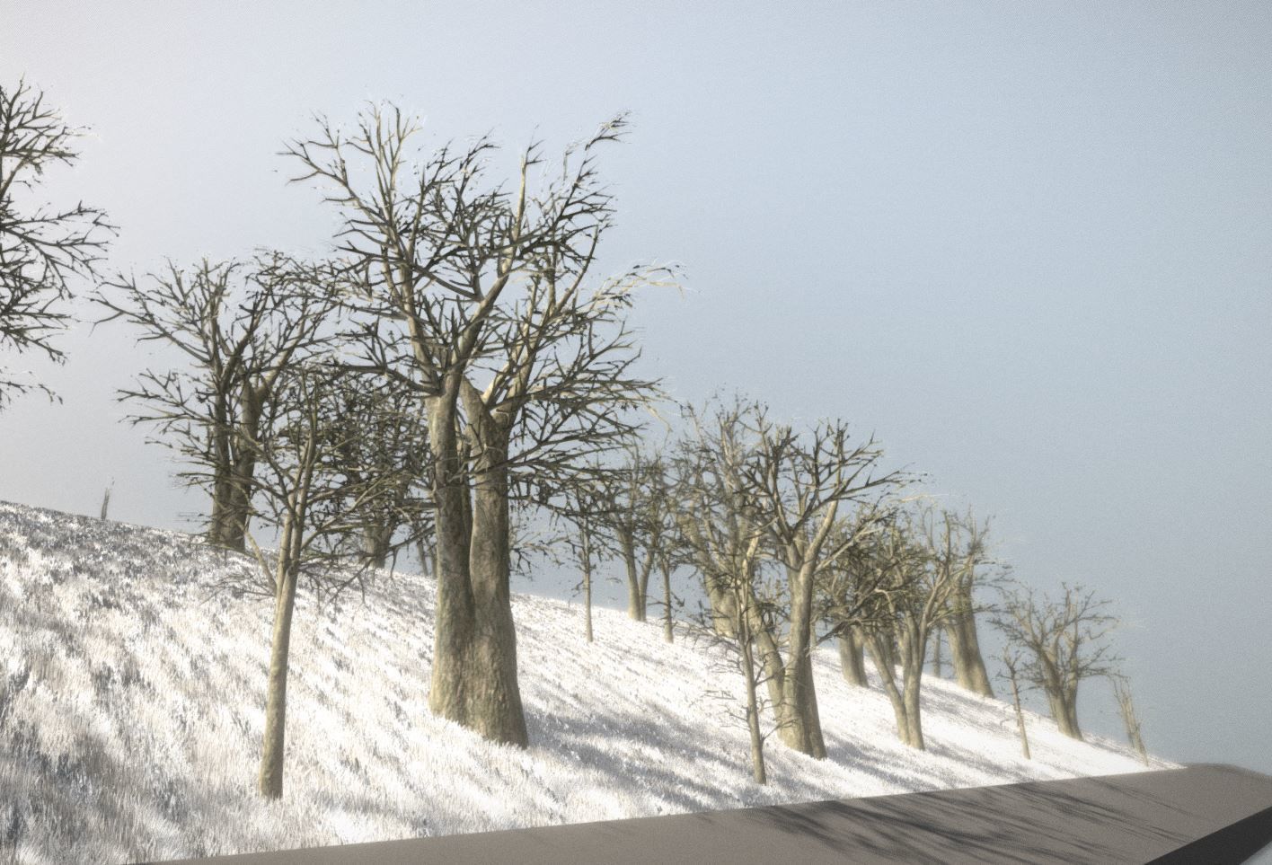 Black Alder Tree - Empress Tree - Walnut Tree Package 3D Model Collection_88