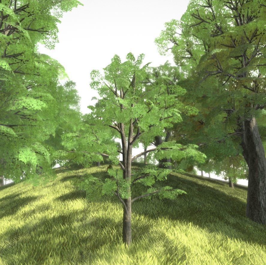 Black Alder Tree - Empress Tree - Walnut Tree Package 3D Model Collection_81