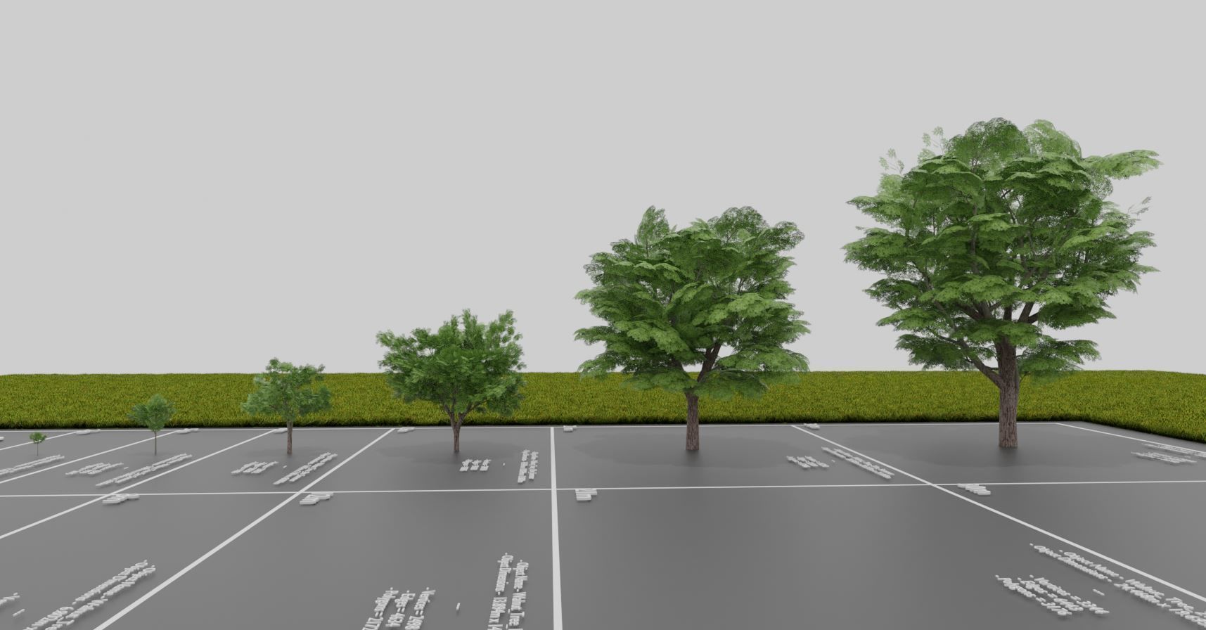 Black Alder Tree - Empress Tree - Walnut Tree Package 3D Model Collection_55