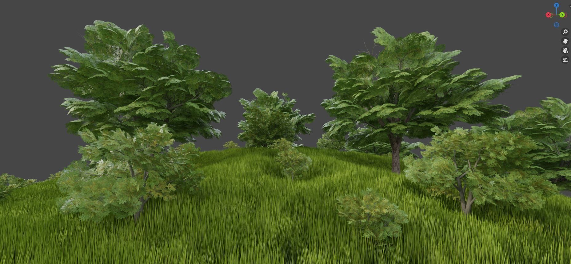 Black Alder Tree - Empress Tree - Walnut Tree Package 3D Model Collection_67