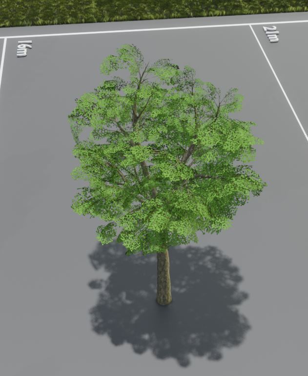 Black Alder Tree - Empress Tree - Walnut Tree Package 3D Model Collection_78