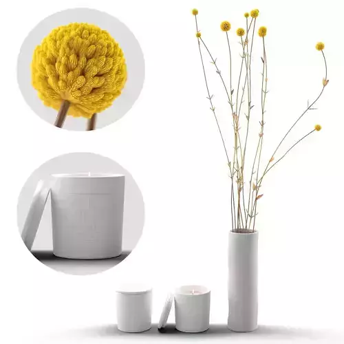 Decor flower Craspedia and candles Set 39