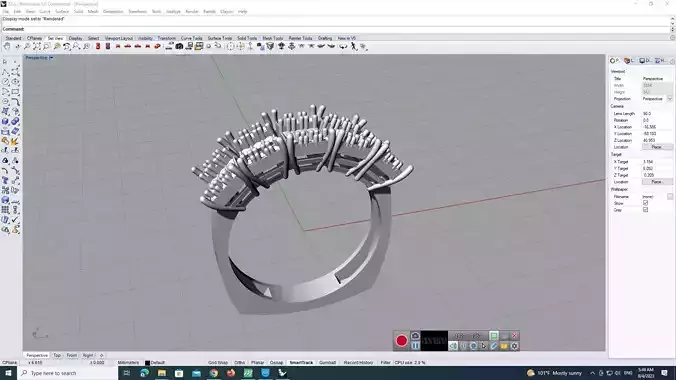 Jewellery Ring 2