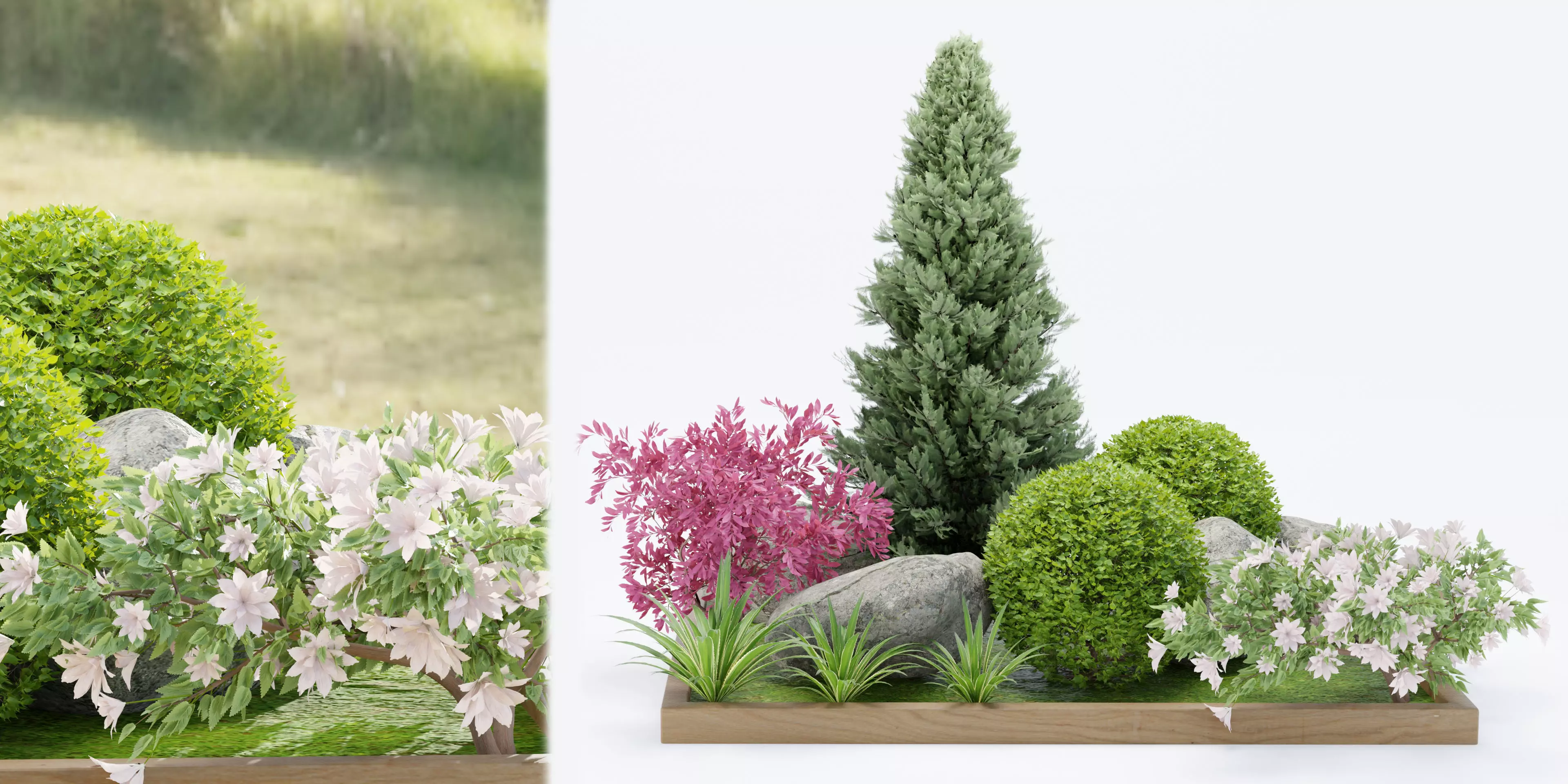 plants collection vol 17-Blender 3D model