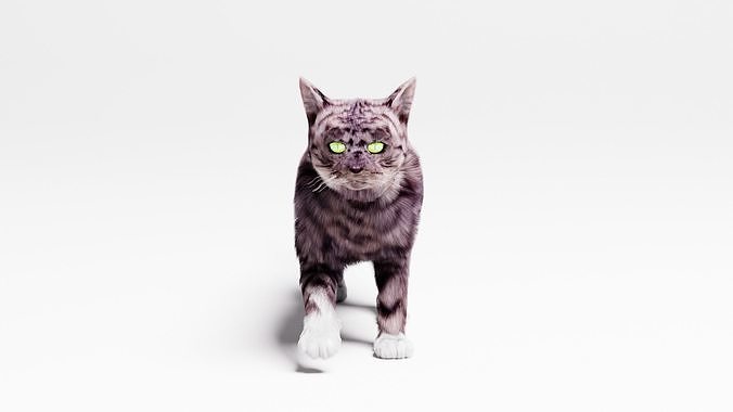 Domestic Cat  3D model