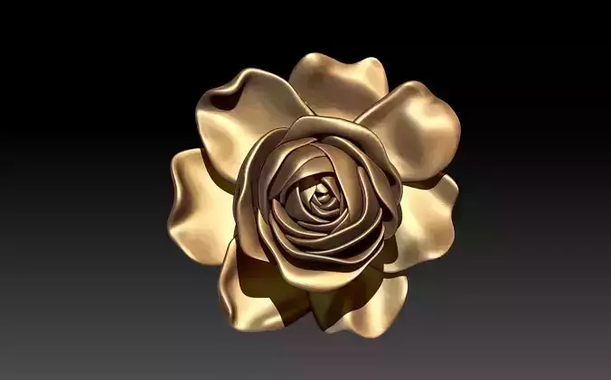 ROSE MODEL
