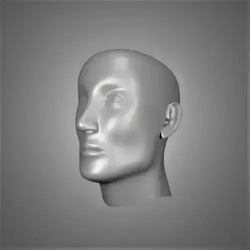 Male Head 3d Model Low-poly 3D model