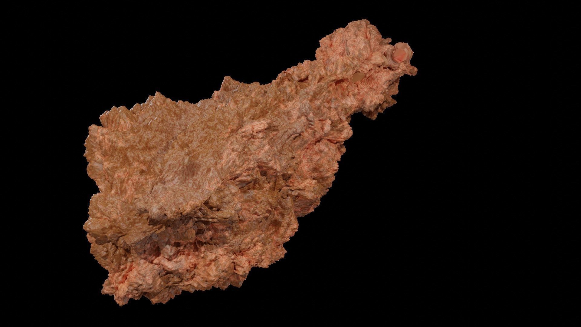 Chicken Fry 3D model_5