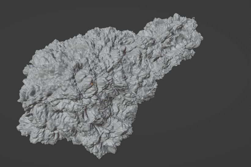 Chicken Fry 3D model_7