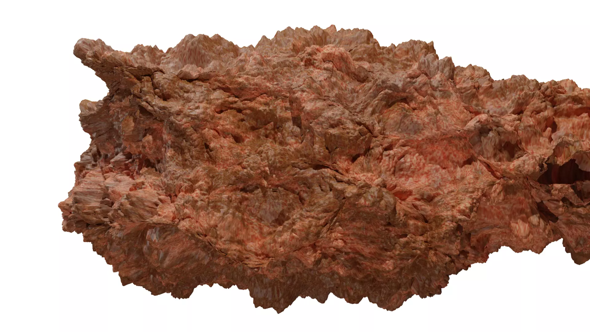 Chicken Fry 3D model_0