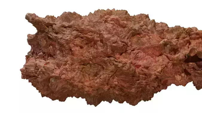 Chicken Fry 3D model