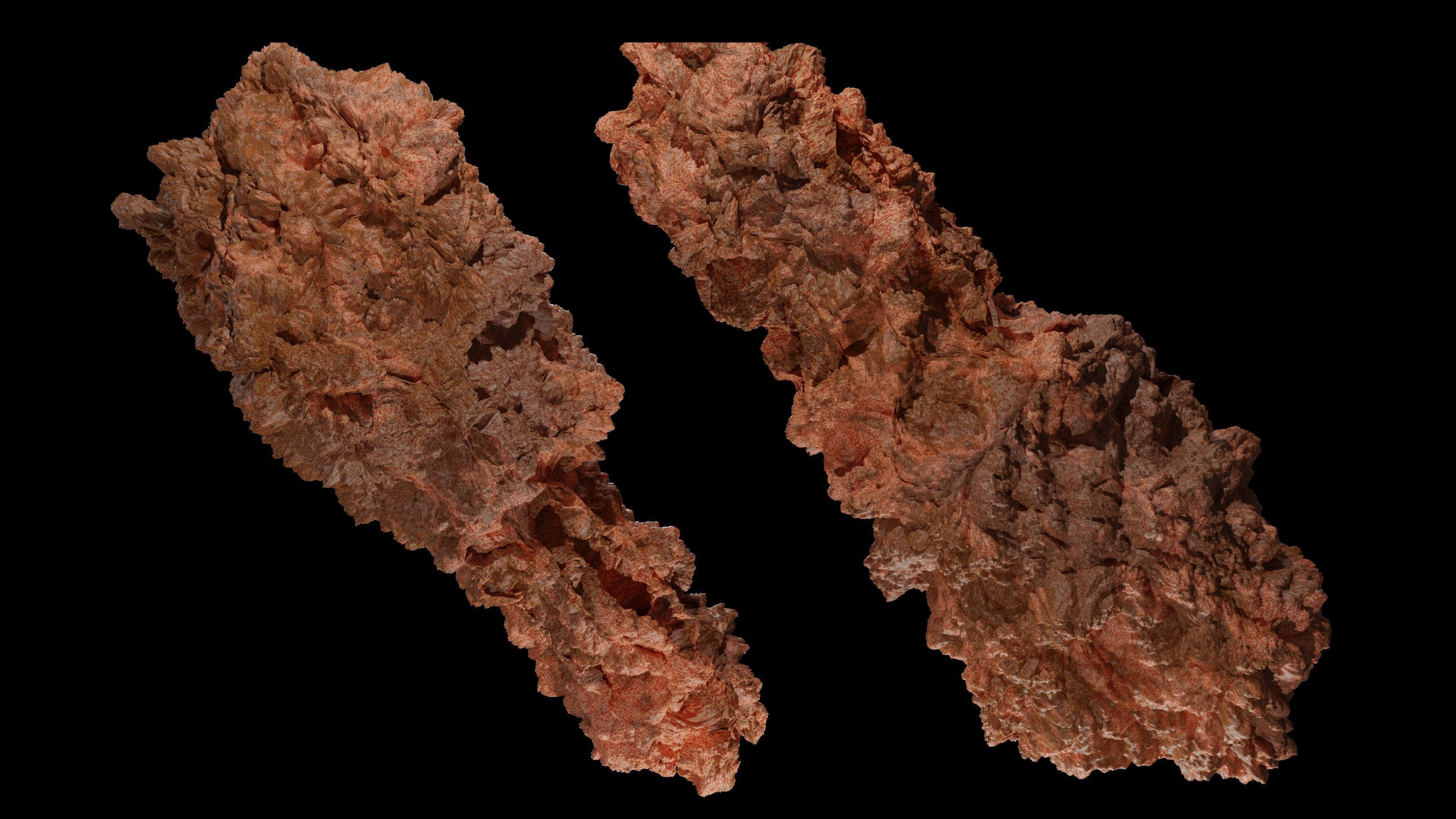 Chicken Fry 3D model_1