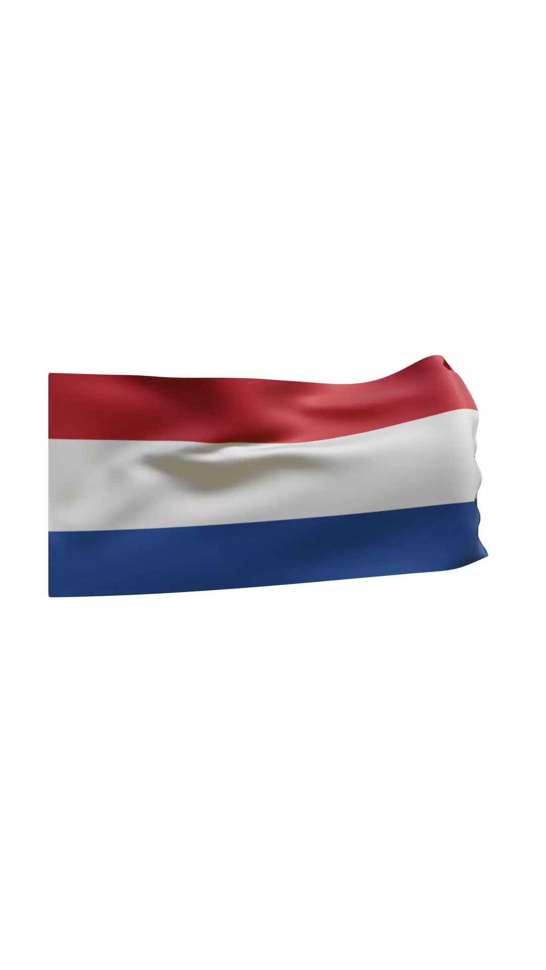 Flag Simulation Low-poly 3D model