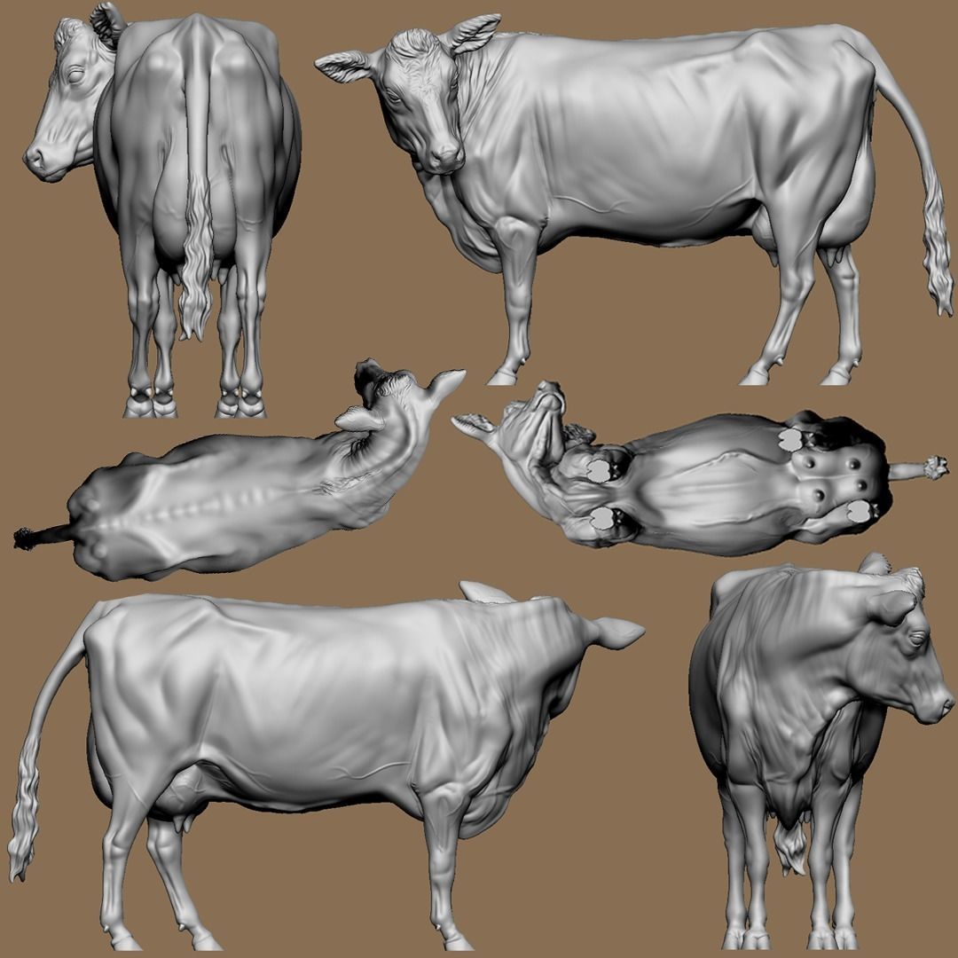 Maybelle the Holstein Friesian Cow 3D print model_3