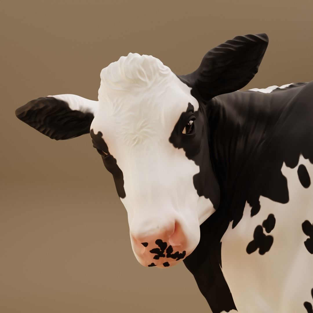 Maybelle the Holstein Friesian Cow 3D print model_2
