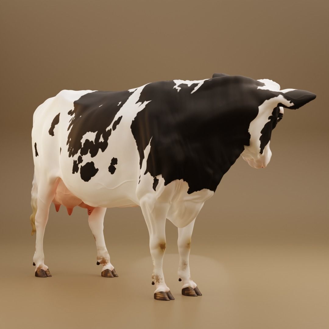 Maybelle the Holstein Friesian Cow 3D print model_1
