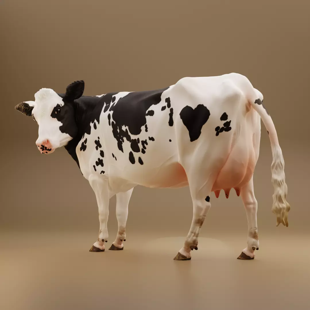 Maybelle the Holstein Friesian Cow 3D print model_0