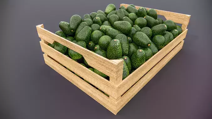 Avocado crate 3D model